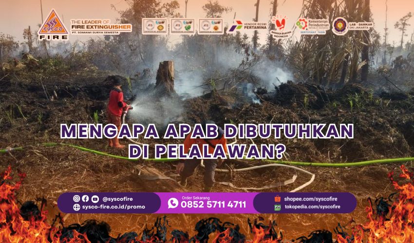 Mengapa APAB Dibutuhkan di Pelalawan