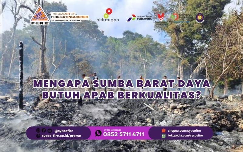 Mengapa Sumba Barat Daya Butuh APAB Berkualitas?